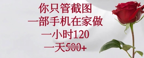 你只管截图，一部手机在家做，一小时120.一天5张【揭秘】-丸动小站