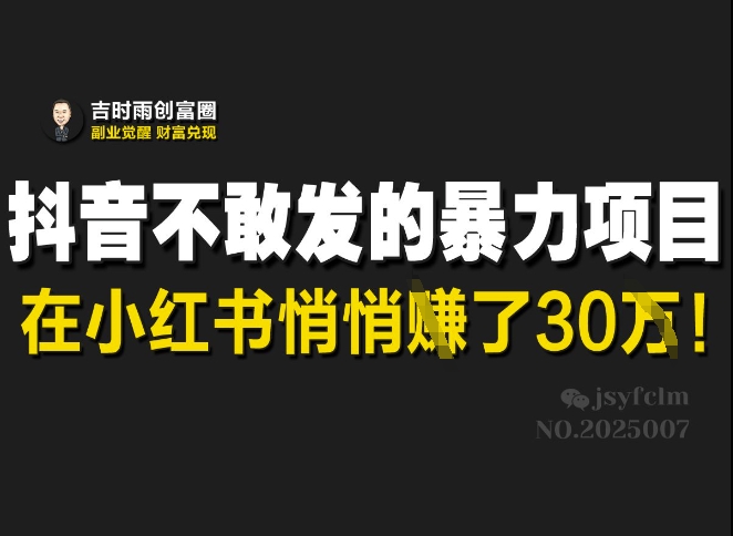 抖音不敢发的暴利项目，在小红书悄悄挣了30W-丸动小站