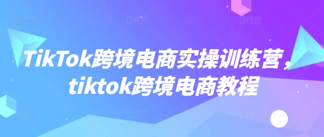 TikTok跨境电商实操训练营，tiktok跨境电商教程-丸动小站