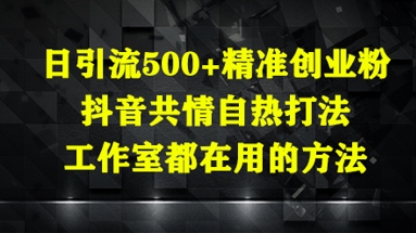 日引流500+精准创业粉，抖音共情自热打法，工作室都在用的方法-丸动小站