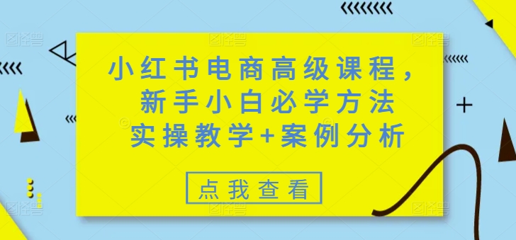 小红书电商高级课程，新手小白必学方法，实操教学+案例分析-丸动小站