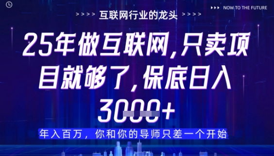 什么！25年你还在找项目做？风口早就变了，卖项目才是稳挣不赔【揭秘】-丸动小站