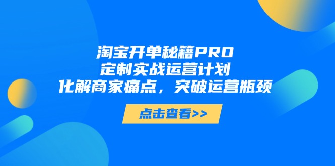 淘宝开单秘籍PRO，定制实战运营计划，化解商家痛点，突破运营瓶颈-丸动小站