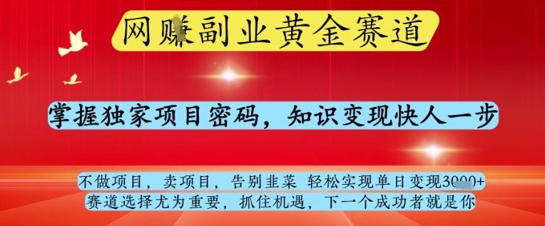网创副业黄全赛道，掌握独家项目密码，知识变现快人一步，告别韭菜轻松实现单日变现1k+【揭秘】-丸动小站