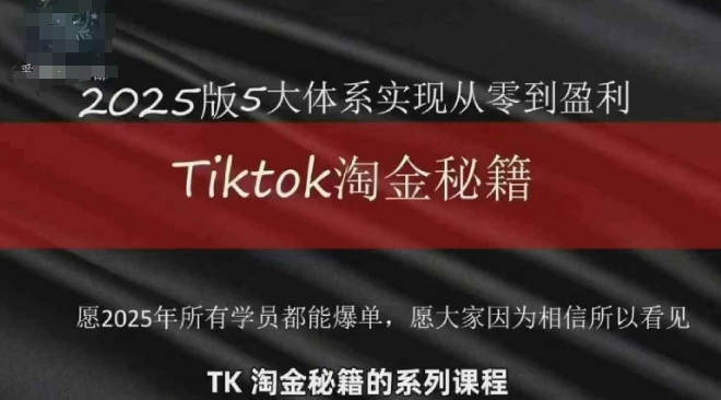 TikTok跨境2025淘金秘籍，​2025TikTok从0到盈利变现-丸动小站