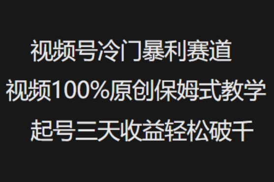视频号冷门暴利赛道视频100%原创保姆式教学起号三天收益轻松破千-丸动小站