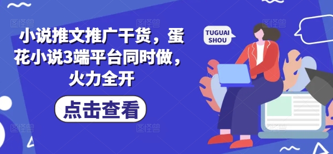 小说推文推广干货，蛋花小说3端平台同时做，火力全开-丸动小站