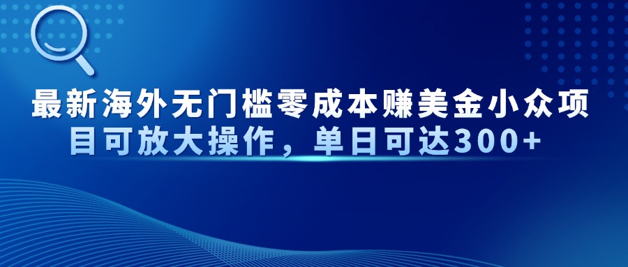 最新海外无门槛零成本赚美金小众项目可放大操作，单日可达300+-丸动小站