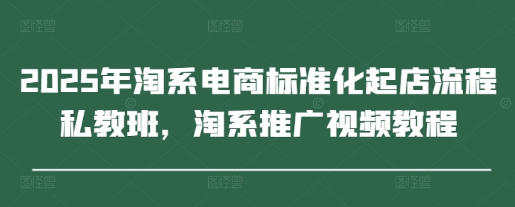 2025年淘系电商标准化起店流程私教班，淘系推广视频教程-丸动小站