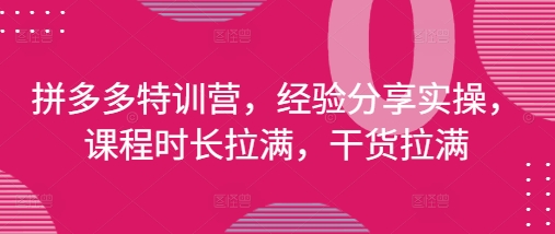 拼多多特训营，经验分享实操，课程时长拉满，干货拉满(更新25年4月)-丸动小站