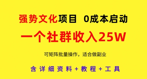 强势文化项目，一个社群收入25个W，0成本启动，可矩阵批量操作，原创详细实操教程-丸动小站