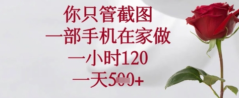 你只管截图，一部手机在家可以做，一小时120.一天5张+【揭秘】-丸动小站