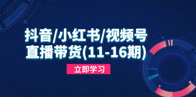 抖音/小红书/视频号/直播带货(11-16期-丸动小站