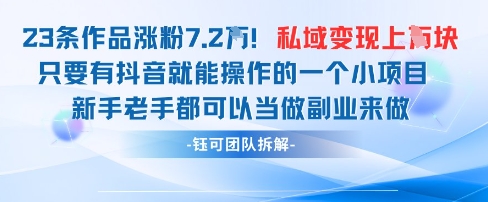 抖音私域项目23条作品涨粉7.2W，私域变现1W-丸动小站
