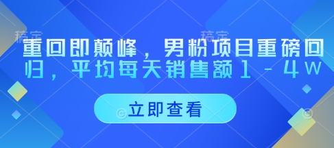 重回即颠峰，男粉项目重磅回归，平均每天销售额1-4W-丸动小站