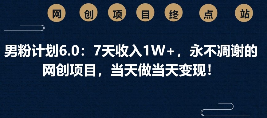 男粉计划6.0：7天收入1W+，永不凋谢的网创项目，当天做当天变现！-丸动小站
