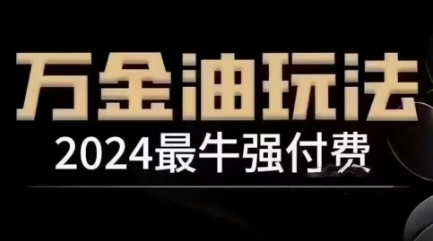 2024最牛强付费，万金油强付费玩法，干货满满，全程实操起飞(更新25年04月)-丸动小站