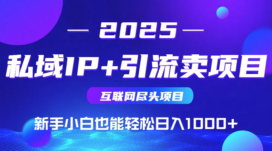 私域IP+卖项目，普通人小白也能轻松实现日入1000+-丸动小站