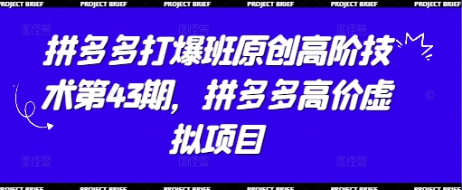 拼多多打爆班原创高阶技术第43期，拼多多高价虚拟项目-丸动小站