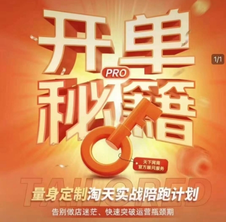 淘宝开单秘籍PRO，量身定制淘天实战陪跑计划，告别做店迷茫、快速突破运营瓶颈期(更新)-丸动小站