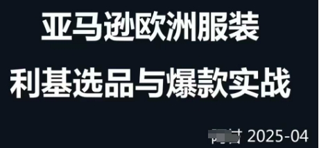 跨境电商选品案例24-25年，聚焦跨境电商选品策略与运营优化，助力卖家挖掘蓝海市场-丸动小站