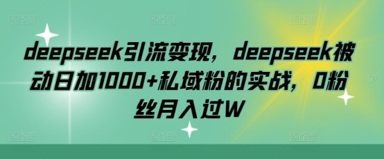 deepseek引流变现，deepseek被动日加1000+私域粉的实战，0粉丝月入过W-丸动小站