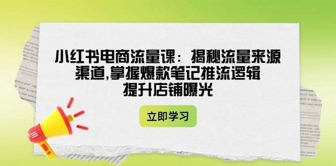 小红书电商流量课：揭秘流量来源渠道,掌握爆款笔记推流逻辑,提升店铺曝光-丸动小站