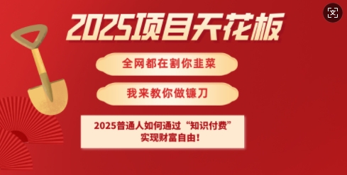 2025项目天花板普通人如何通过知识付费，实现财F自由【揭秘】-丸动小站